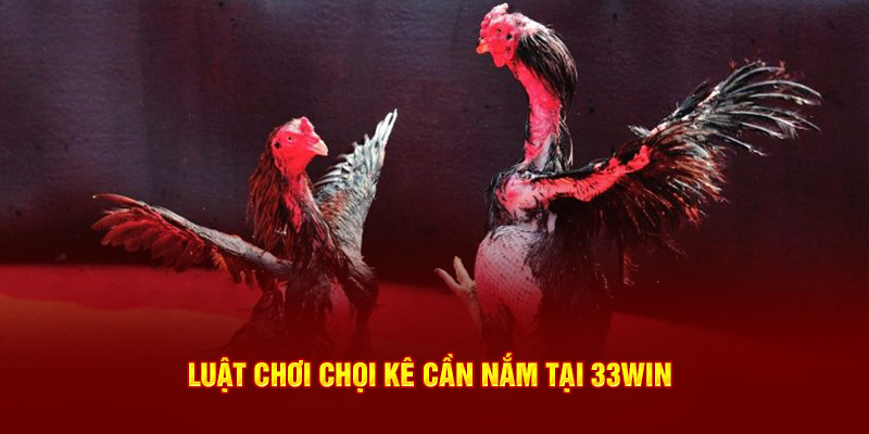 Luật chơi chọi kê cần nắm tại 33win