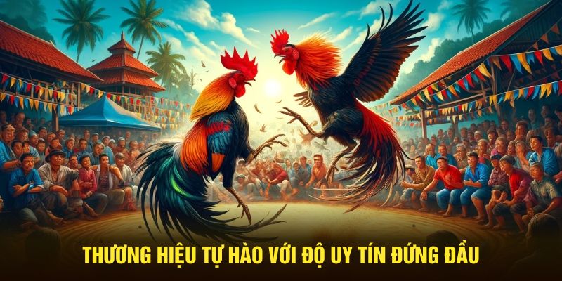 Các hình thức đặt cược trực tiếp đá gà cựa dao